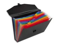 Trieur valisette rainbow class 12 compartiments polypropylene a4 38x26x6cm coloris noir