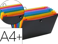 Trieur viquel rainbow class pp 8/10e 350x245mm 12 positions extensible fermeture bouton riveté élastique coloris noir