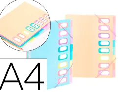 Trieur viquel rainbow pastel 8 compartiments polypropylene a4 25.5x32cm coloris assortis pastel