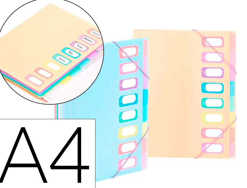 Trieur viquel rainbow pastel 8 compartiments polypropylene a4 25.5x32cm coloris assortis pastel