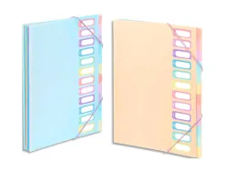 Trieur viquel rainbow pastel 12 compartiments polypropylene a4 25.5x32cm coloris assortis pastel
