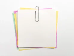 Trombone liderpapel zinc n 1 bout rond 20mm boite 100 unites