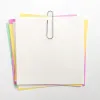 Trombone liderpapel zinc bout rond 43mm boîte 100 unités